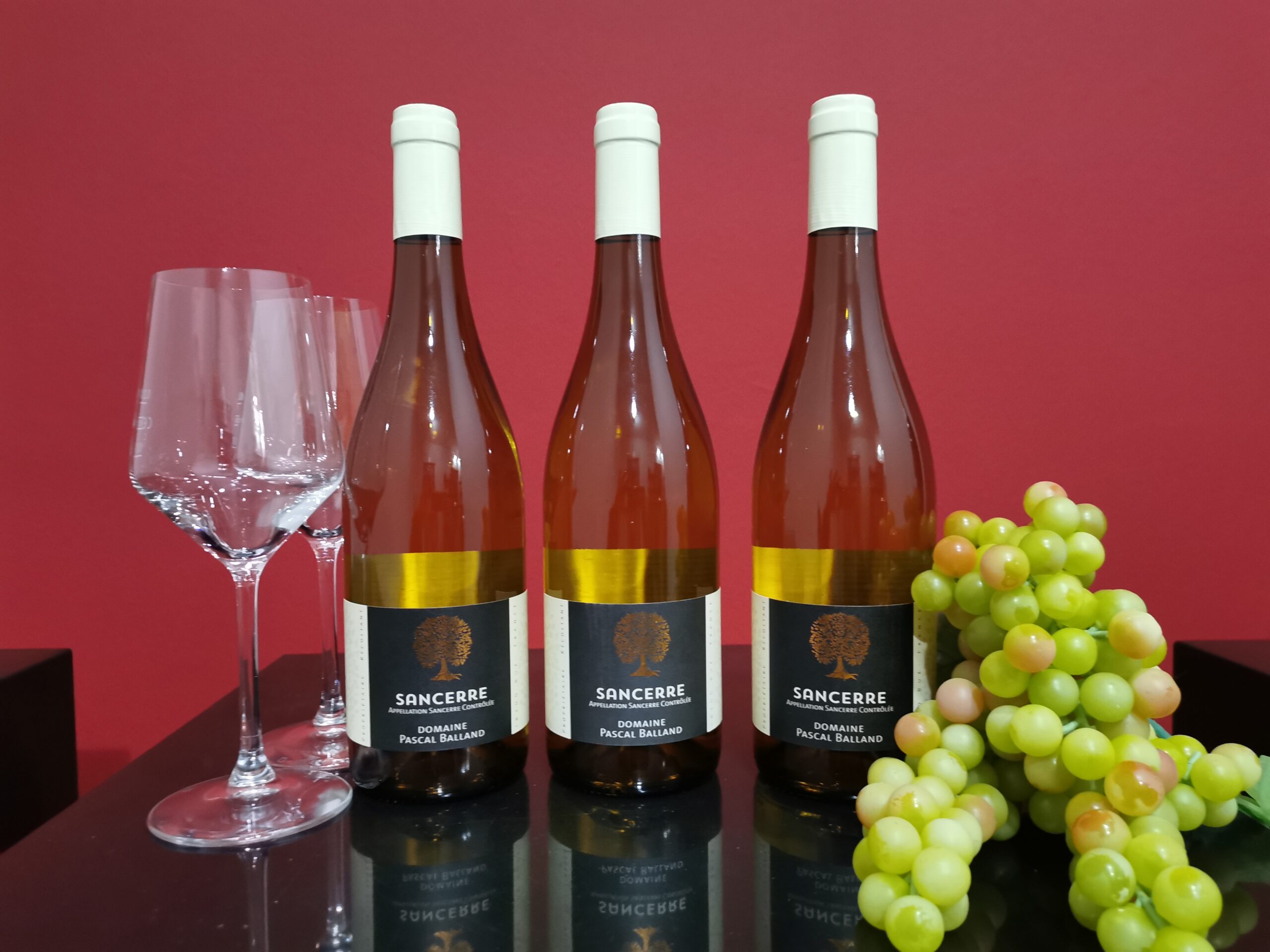 Domaine Pascal Balland Sancerre